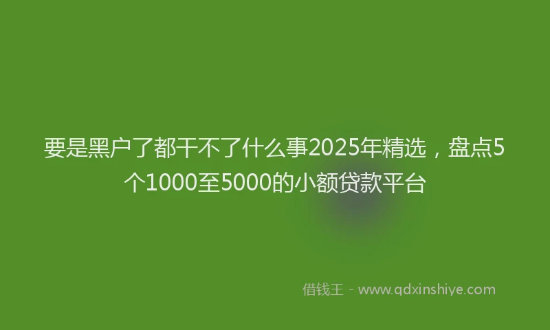 要是黑户了都干不了什么事2025年精选，盘点5个1000至5000的小额贷款平台
