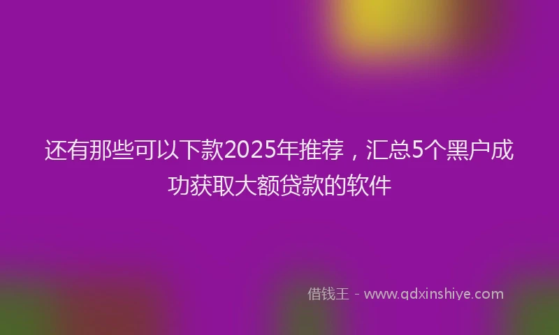 还有那些可以下款2025年推荐，汇总5个黑户成功获取大额贷款的软件