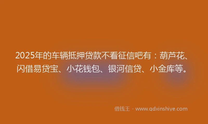 2025年的车辆抵押贷款不看征信吧有：葫芦花、闪借易贷宝、小花钱包、银河信贷、小金库等。