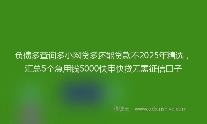 负债多查询多小网贷多还能贷款不2025年精选，汇总5个急用钱5000快审快贷无需征信口子