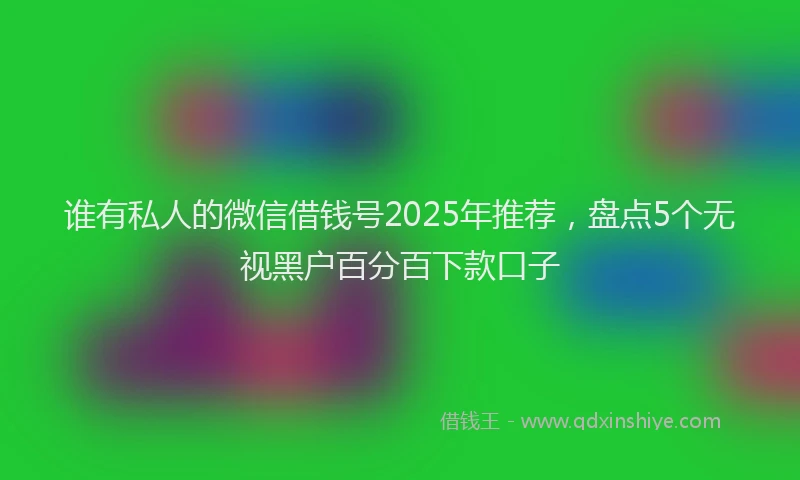 谁有私人的微信借钱号2025年推荐，盘点5个无视黑户百分百下款口子