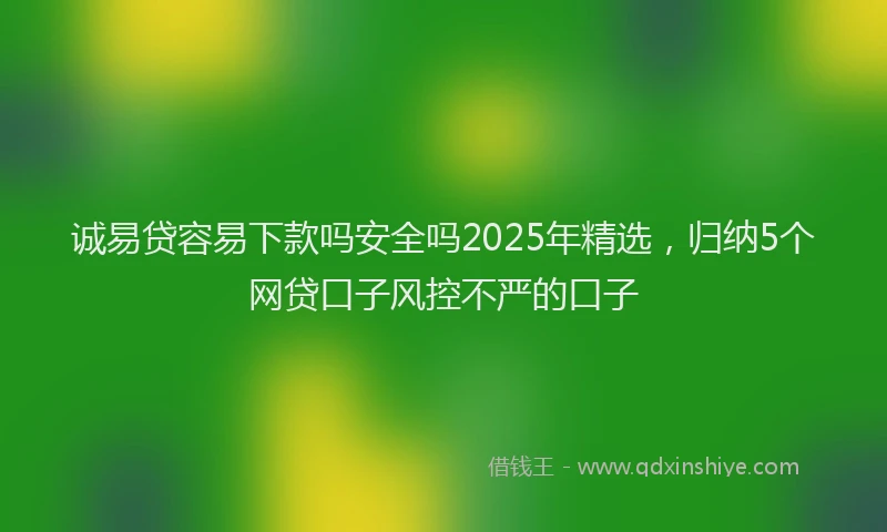 诚易贷容易下款吗安全吗2025年精选，归纳5个网贷口子风控不严的口子