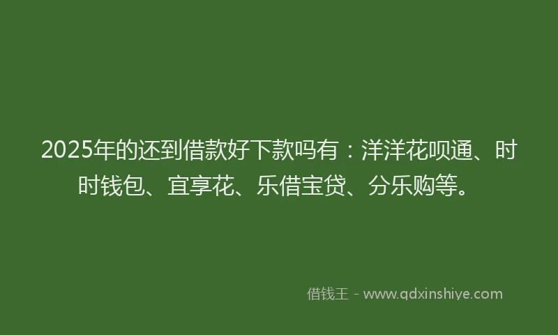 2025年的还到借款好下款吗有：洋洋花呗通、时时钱包、宜享花、乐借宝贷、分乐购等。