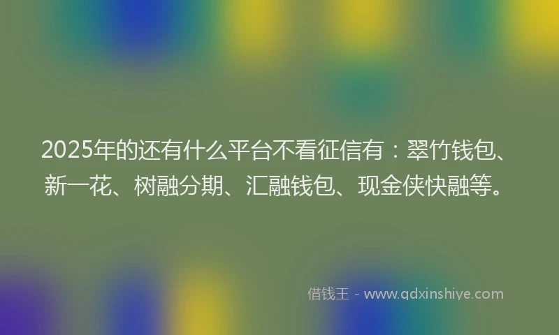 2025年的还有什么平台不看征信有：翠竹钱包、新一花、树融分期、汇融钱包、现金侠快融等。