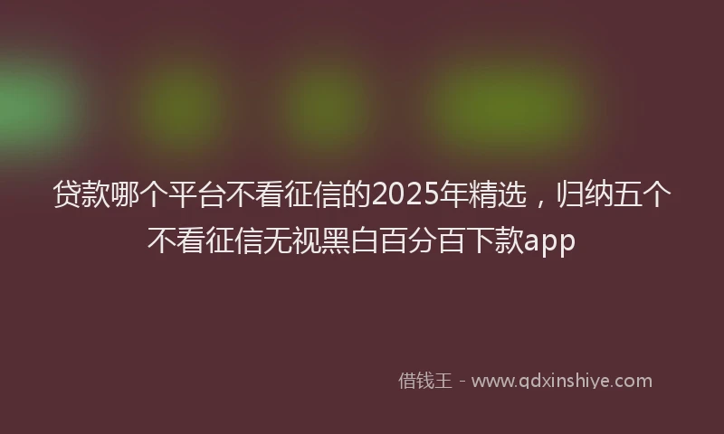 贷款哪个平台不看征信的2025年精选，归纳五个不看征信无视黑白百分百下款app