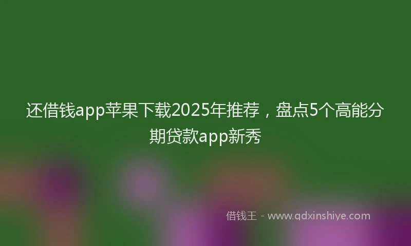 还借钱app苹果下载2025年推荐，盘点5个高能分期贷款app新秀