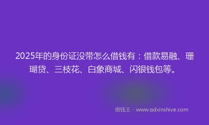 2025年的身份证没带怎么借钱有：借款易融、珊瑚贷、三枝花、白象商城、闪银钱包等。