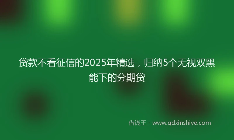贷款不看征信的2025年精选，归纳5个无视双黑能下的分期贷