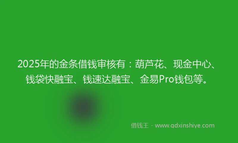 2025年的金条借钱审核有：葫芦花、现金中心、钱袋快融宝、钱速达融宝、金易Pro钱包等。