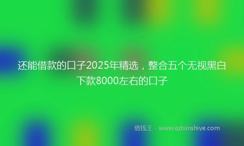 还能借款的口子2025年精选，整合五个无视黑白下款8000左右的口子