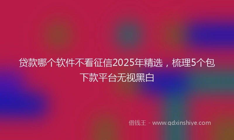 贷款哪个软件不看征信2025年精选，梳理5个包下款平台无视黑白