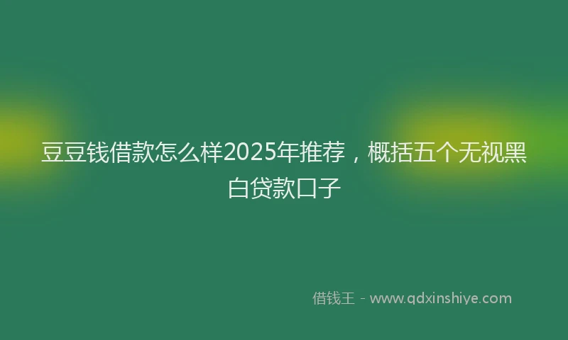 豆豆钱借款怎么样2025年推荐，概括五个无视黑白贷款口子