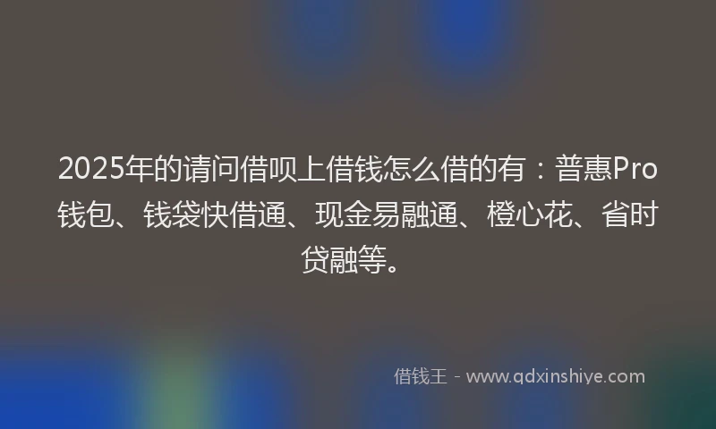 2025年的请问借呗上借钱怎么借的有：普惠Pro钱包、钱袋快借通、现金易融通、橙心花、省时贷融等。