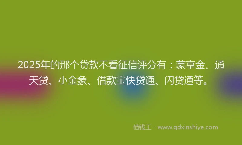 2025年的那个贷款不看征信评分有：蒙享金、通天贷、小金象、借款宝快贷通、闪贷通等。