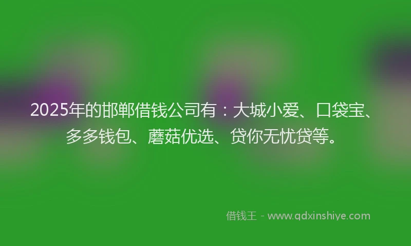 2025年的邯郸借钱公司有：大城小爱、口袋宝、多多钱包、蘑菇优选、贷你无忧贷等。