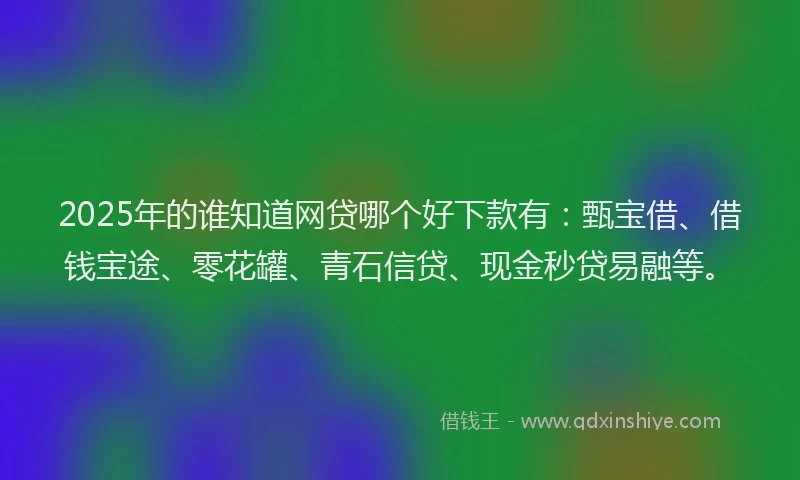 2025年的谁知道网贷哪个好下款有：甄宝借、借钱宝途、零花罐、青石信贷、现金秒贷易融等。