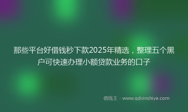 那些平台好借钱秒下款2025年精选，整理五个黑户可快速办理小额贷款业务的口子