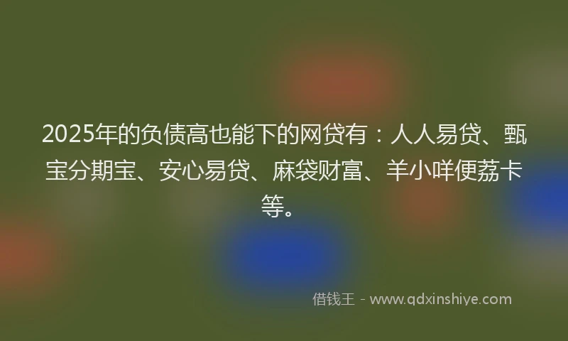 2025年的负债高也能下的网贷有：人人易贷、甄宝分期宝、安心易贷、麻袋财富、羊小咩便荔卡等。