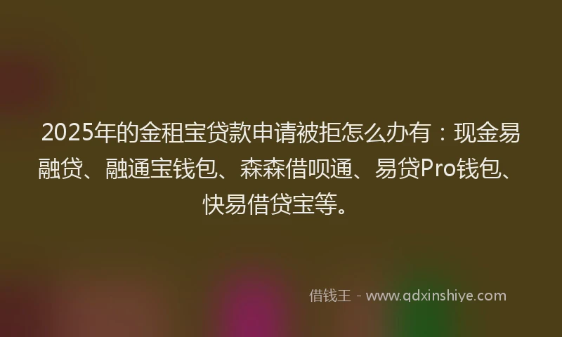 2025年的金租宝贷款申请被拒怎么办有：现金易融贷、融通宝钱包、森森借呗通、易贷Pro钱包、快易借贷宝等。