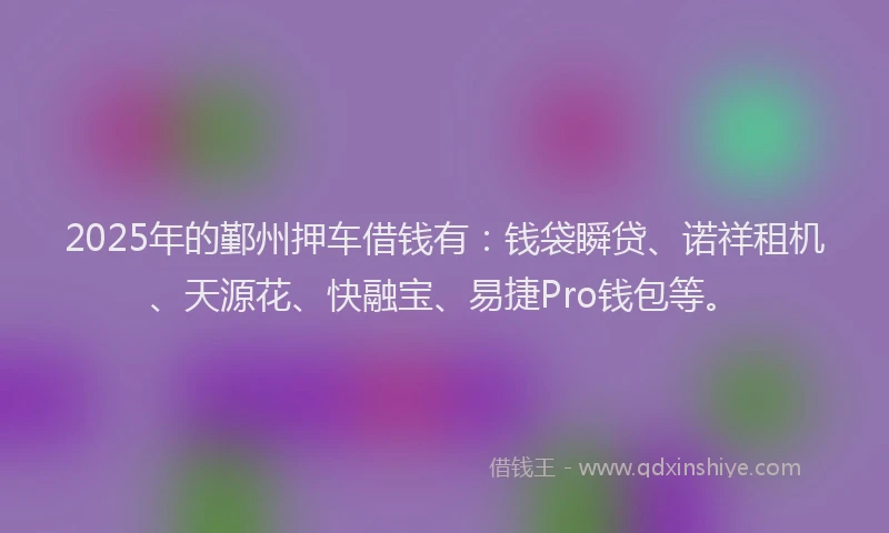 2025年的鄞州押车借钱有：钱袋瞬贷、诺祥租机、天源花、快融宝、易捷Pro钱包等。