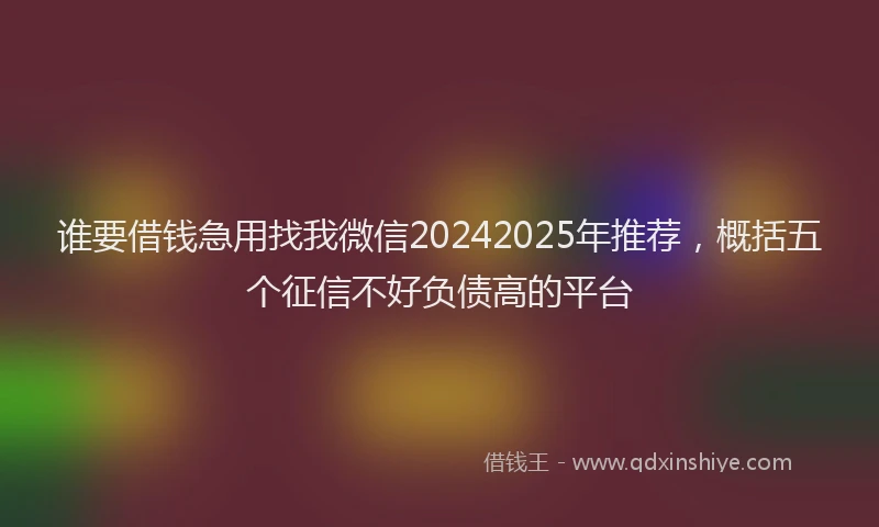 谁要借钱急用找我微信20242025年推荐，概括五个征信不好负债高的平台