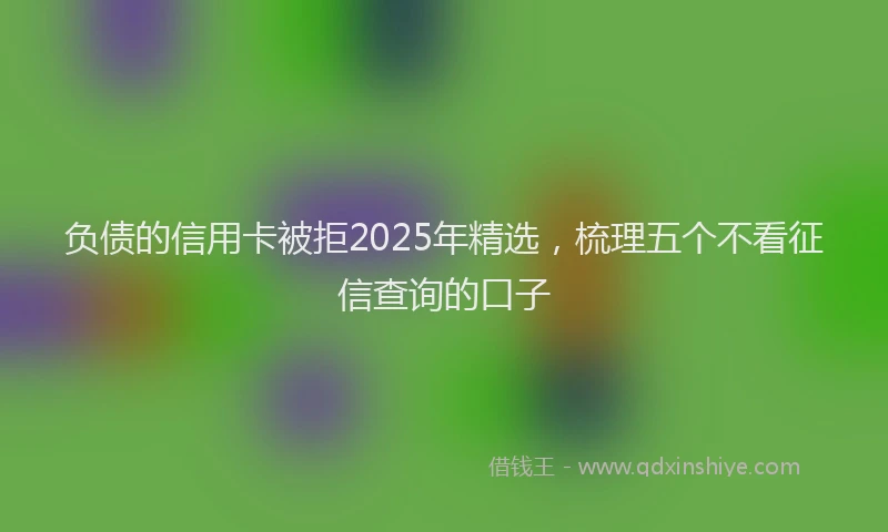 负债的信用卡被拒2025年精选，梳理五个不看征信查询的口子