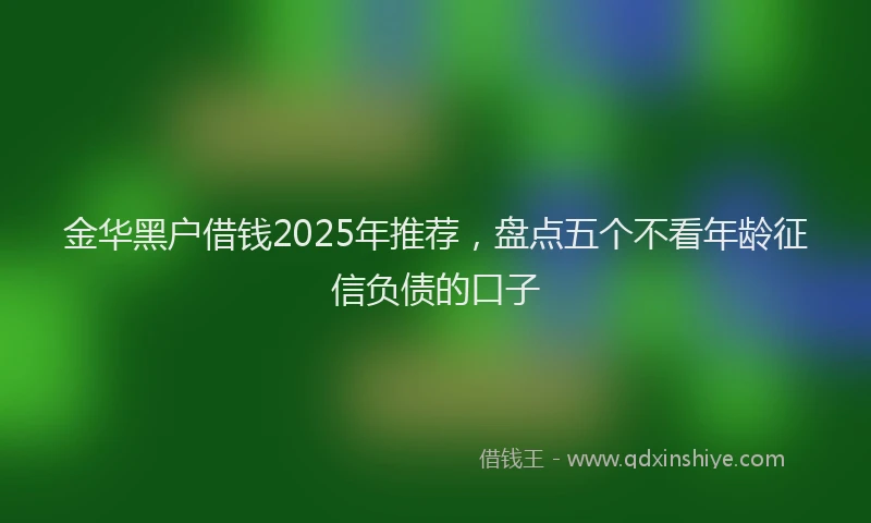 金华黑户借钱2025年推荐，盘点五个不看年龄征信负债的口子