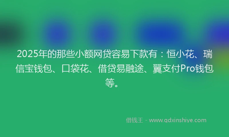 2025年的那些小额网贷容易下款有：恒小花、瑞信宝钱包、口袋花、借贷易融途、翼支付Pro钱包等。