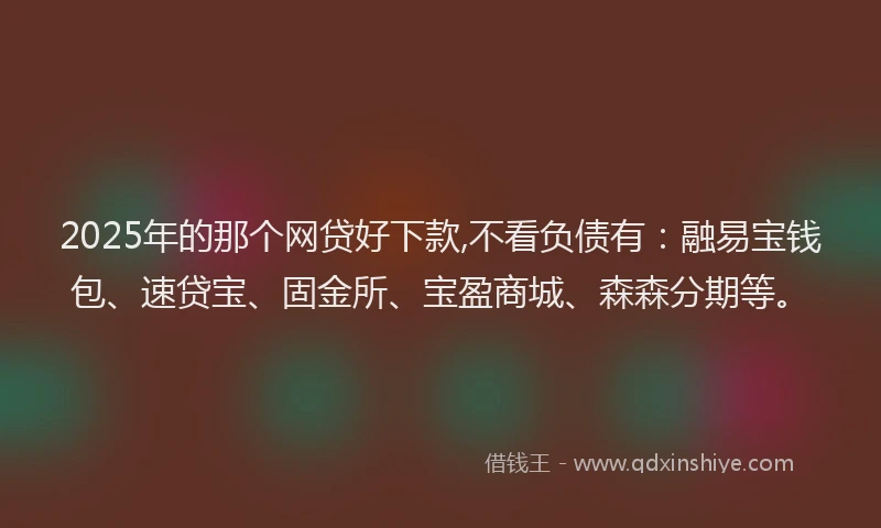 2025年的那个网贷好下款,不看负债有：融易宝钱包、速贷宝、固金所、宝盈商城、森森分期等。