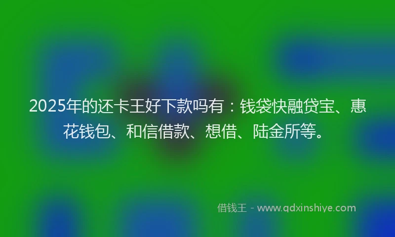 2025年的还卡王好下款吗有：钱袋快融贷宝、惠花钱包、和信借款、想借、陆金所等。