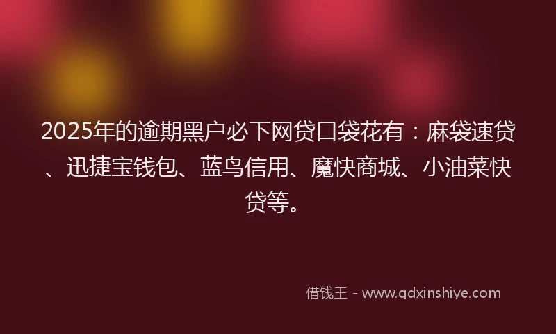 2025年的逾期黑户必下网贷口袋花有：麻袋速贷、迅捷宝钱包、蓝鸟信用、魔快商城、小油菜快贷等。