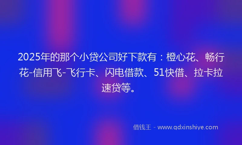 2025年的那个小贷公司好下款有：橙心花、畅行花-信用飞-飞行卡、闪电借款、51快借、拉卡拉速贷等。