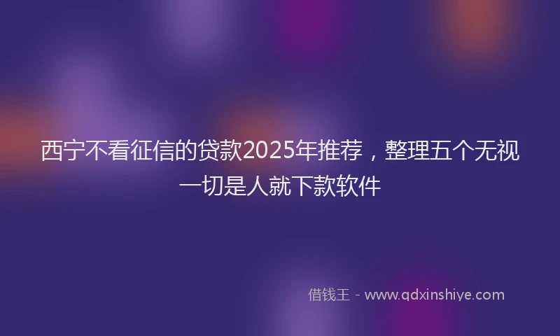 西宁不看征信的贷款2025年推荐，整理五个无视一切是人就下款软件