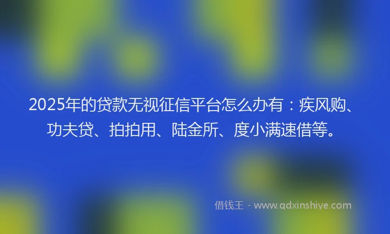 2025年的贷款无视征信平台怎么办有：疾风购、功夫贷、拍拍用、陆金所、度小满速借等。
