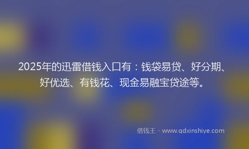 2025年的迅雷借钱入口有：钱袋易贷、好分期、好优选、有钱花、现金易融宝贷途等。