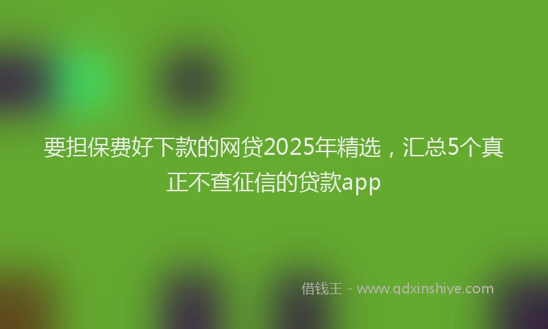 要担保费好下款的网贷2025年精选，汇总5个真正不查征信的贷款app