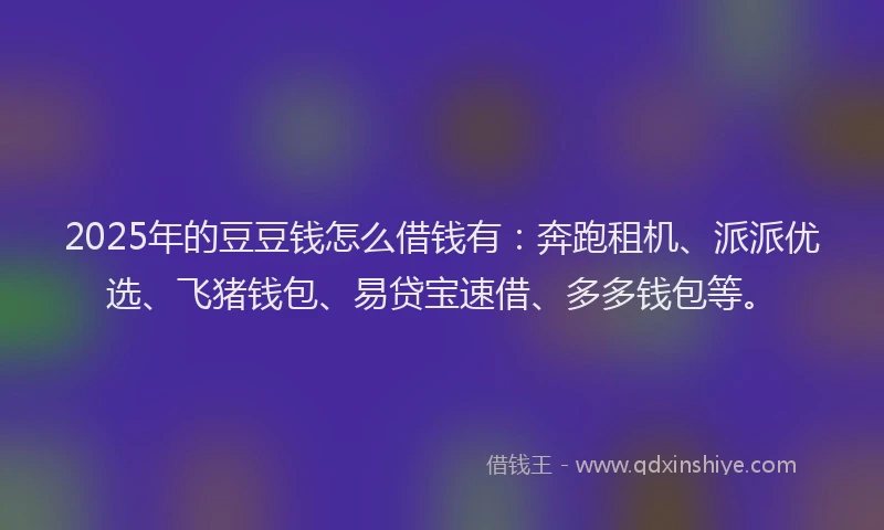 2025年的豆豆钱怎么借钱有：奔跑租机、派派优选、飞猪钱包、易贷宝速借、多多钱包等。