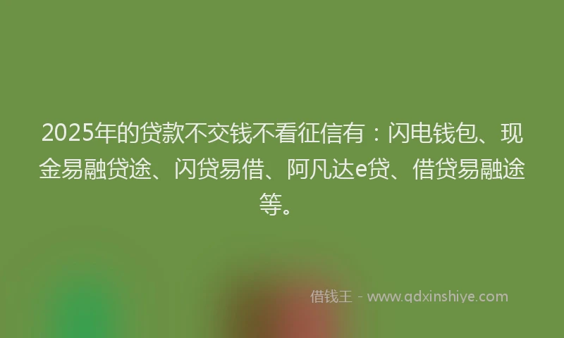 2025年的贷款不交钱不看征信有：闪电钱包、现金易融贷途、闪贷易借、阿凡达e贷、借贷易融途等。