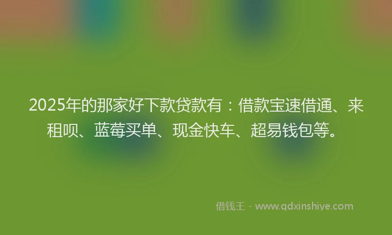 2025年的那家好下款贷款有：借款宝速借通、来租呗、蓝莓买单、现金快车、超易钱包等。