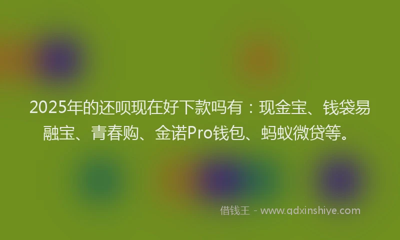 2025年的还呗现在好下款吗有：现金宝、钱袋易融宝、青春购、金诺Pro钱包、蚂蚁微贷等。