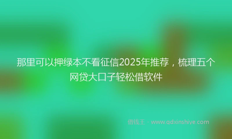 那里可以押绿本不看征信2025年推荐，梳理五个网贷大口子轻松借软件