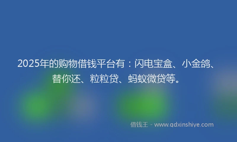 2025年的购物借钱平台有：闪电宝盒、小金鸽、替你还、粒粒贷、蚂蚁微贷等。