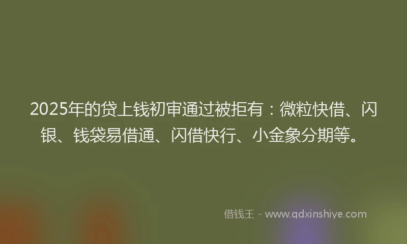 2025年的贷上钱初审通过被拒有：微粒快借、闪银、钱袋易借通、闪借快行、小金象分期等。