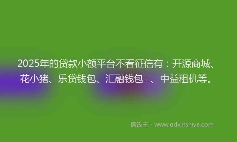 2025年的贷款小额平台不看征信有：开源商城、花小猪、乐贷钱包、汇融钱包+、中益租机等。