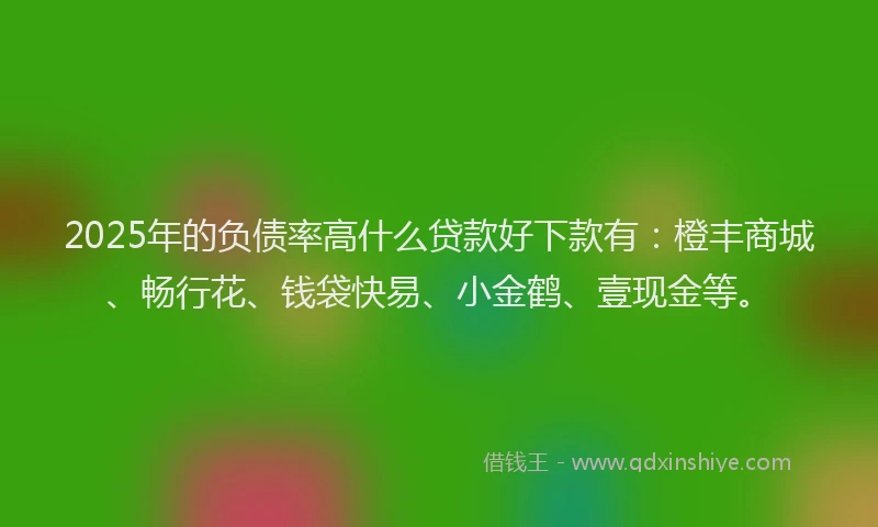 2025年的负债率高什么贷款好下款有：橙丰商城、畅行花、钱袋快易、小金鹤、壹现金等。