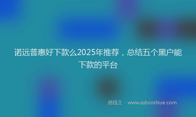 诺远普惠好下款么2025年推荐，总结五个黑户能下款的平台