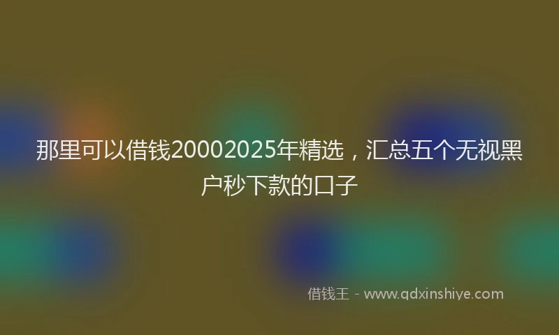 那里可以借钱20002025年精选，汇总五个无视黑户秒下款的口子