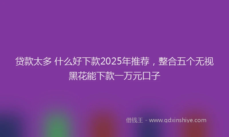 贷款太多 什么好下款2025年推荐，整合五个无视黑花能下款一万元口子