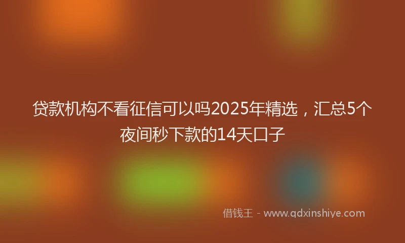 贷款机构不看征信可以吗2025年精选，汇总5个夜间秒下款的14天口子