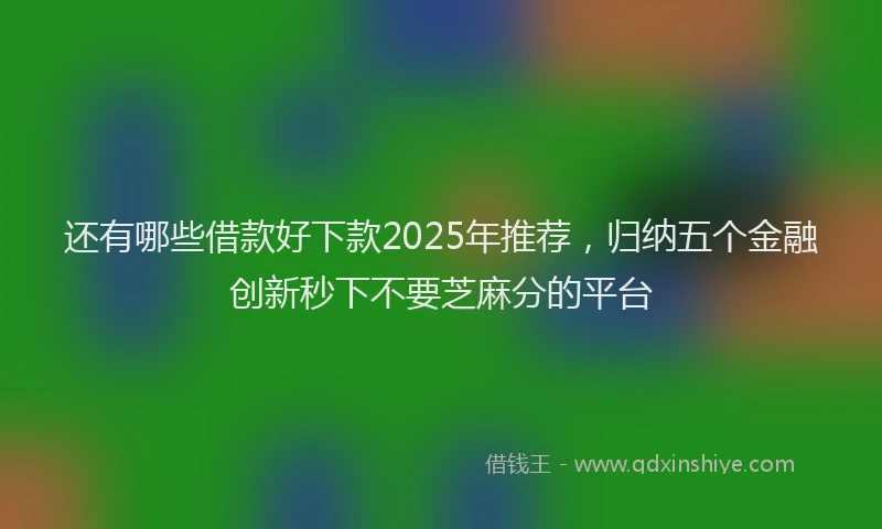 还有哪些借款好下款2025年推荐，归纳五个金融创新秒下不要芝麻分的平台